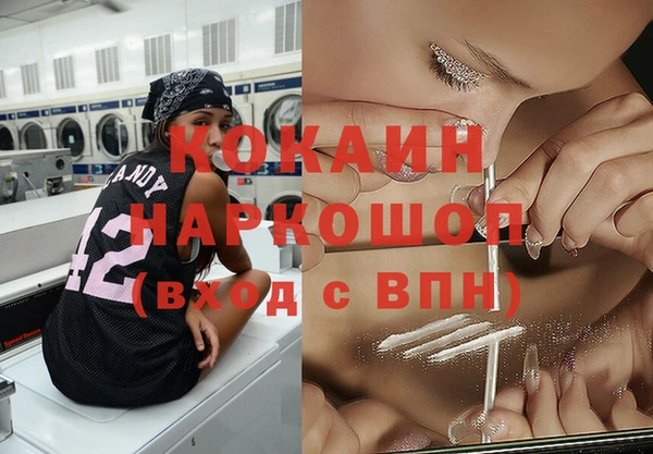 хмурый Алексин
