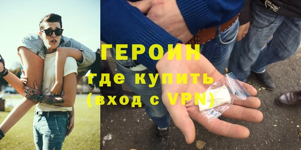 хмурый Алексин