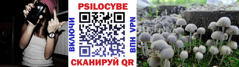как найти   Чапаевск  Псилоцибиновые грибы Magic Shrooms 